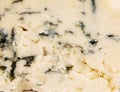 Mouldy cheese texture