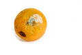 Mouldy fruit Royalty Free Stock Photo