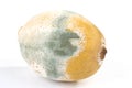 Mouldy lemon