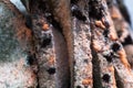 Mouldy moldy bread. Close-up