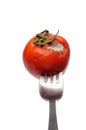 Mouldy Tomato, fruit. vertical Royalty Free Stock Photo