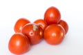 Mouldy Tomato