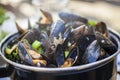 Moules Mariniere Mussels Royalty Free Stock Photo