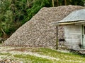 Mound of Oyster Shells