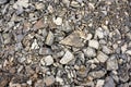 Mound of shells, stones and sand on the seashore. Royalty Free Stock Photo