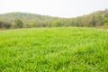 mound slope green grass Royalty Free Stock Photo