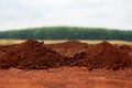 Mound of soil promises potential for nurturing plants and sustaining ecosystems concept