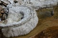 Mound Spring in the Mammoth Hot Springs Area