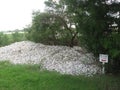 mound of used oyster shells in Charleston South Carolina