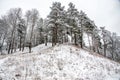 mound in winter, Lithuania Royalty Free Stock Photo