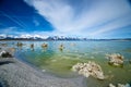 Mounds of Tufa in Mono Lake Royalty Free Stock Photo