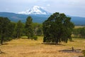 Mount Adams from Trout Lake Royalty Free Stock Photo