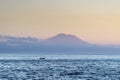 Mount Agung volcano in sunrise Royalty Free Stock Photo