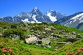 Mount Aiguille du Chardonnet and Aiguille d`Argentiere, Nature Reserve Aiguilles Rouges, Graian Alps, France, Europe. Royalty Free Stock Photo