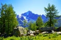 Mount Aiguille Verte, Graian Alps, France, Europe.