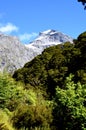 Mount Alba, Gillespie Pass,