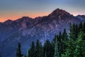 Mountain in sunset light in Olympic National Park, Washington state Royalty Free Stock Photo