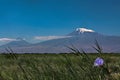 Mount Ararat, Big Ararat and Small Ararat. in Armenian Mount Masis in Armenia Royalty Free Stock Photo