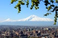 Mount Ararat and Yerevan city. Royalty Free Stock Photo