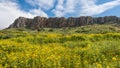 Mount Arbel Cliffs, Arbel National Park, Jesus Trail, Israel Royalty Free Stock Photo