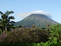 Mount Arenal in Costa Rica. Picturesque landscape, clouds cover the top of the mountain, around flowers, palm trees.