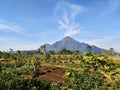 Mount arjuna East Java Royalty Free Stock Photo