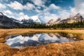 Mount Assiniboine reflection on pond in golden meadow at Canada Royalty Free Stock Photo