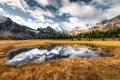 Mount Assiniboine reflection on pond in golden meadow at provincial park Royalty Free Stock Photo