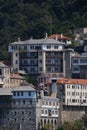 Mount Athos - Grigoriou monastery in Greece close up shot