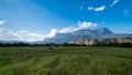 Mount `Auyantepuy` in the Great Savannah, Venezuela