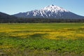 Mount Bachelor from Sparks Lake Royalty Free Stock Photo