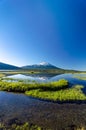 Mount Bachelor Vertical Reflection