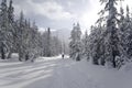 Mount Bachelor XC Skiing