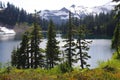 Mount Baker national forest