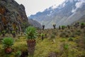 Mount Baker in the Rwenzori Mountains National, Kasese District, Uganda