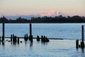 Mount Baker View, Fraser River