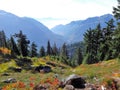 Mount Baker wilderness with fall colors Royalty Free Stock Photo
