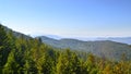 Mount Benson Forest in British Columbia