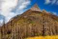 Mount Blakiston Waterton Lakes National Park Alberta Canada Royalty Free Stock Photo