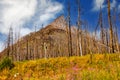 Mount Blakiston Waterton Lakes National Park Alberta Canada Royalty Free Stock Photo