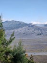 Mount Bromo in East Java Royalty Free Stock Photo