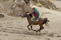 MOUNT BROMO HORSE