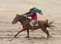 MOUNT BROMO HORSE