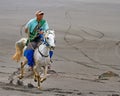 MOUNT BROMO