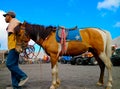 Man Riding Horse On Land