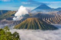 Mount Bromo volcano during sunrise