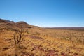 Mount Bruce dry landscape surrounding landscape at Karijini National Park