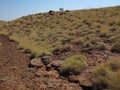 Mount Bruce near Karijini National Park, Western Australia Royalty Free Stock Photo