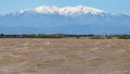 Mount Canigou from Canet lagoon