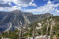 Mount Charleston Royalty Free Stock Photo